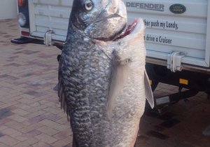 Die skipper, die â€œcrewâ€ en hoe dit werk